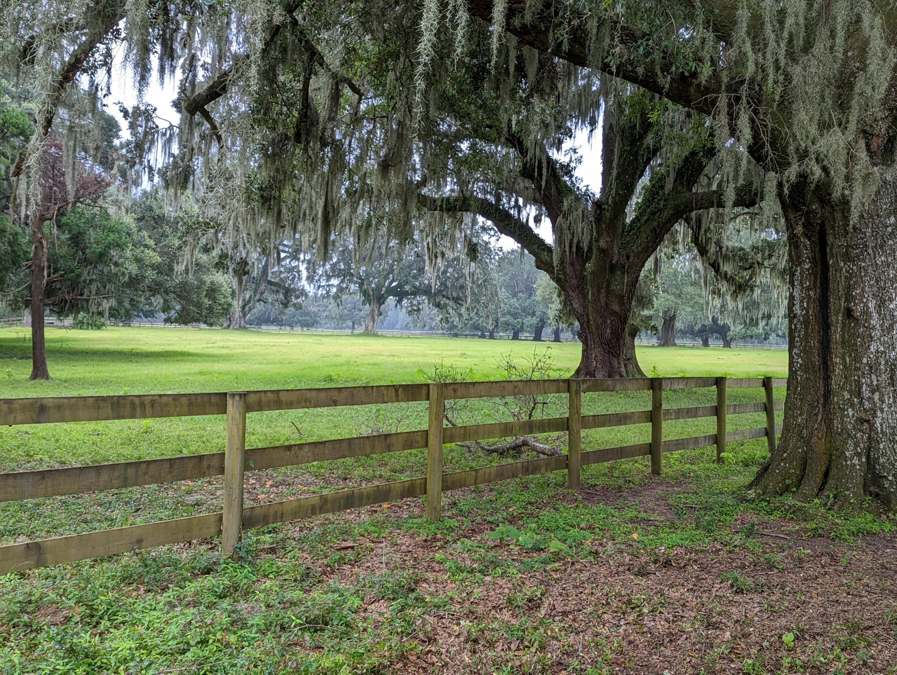 21 Middleton Oaks Road Charleston, SC 29414 - Photo 7 of 18 PXL_20220905_182601006