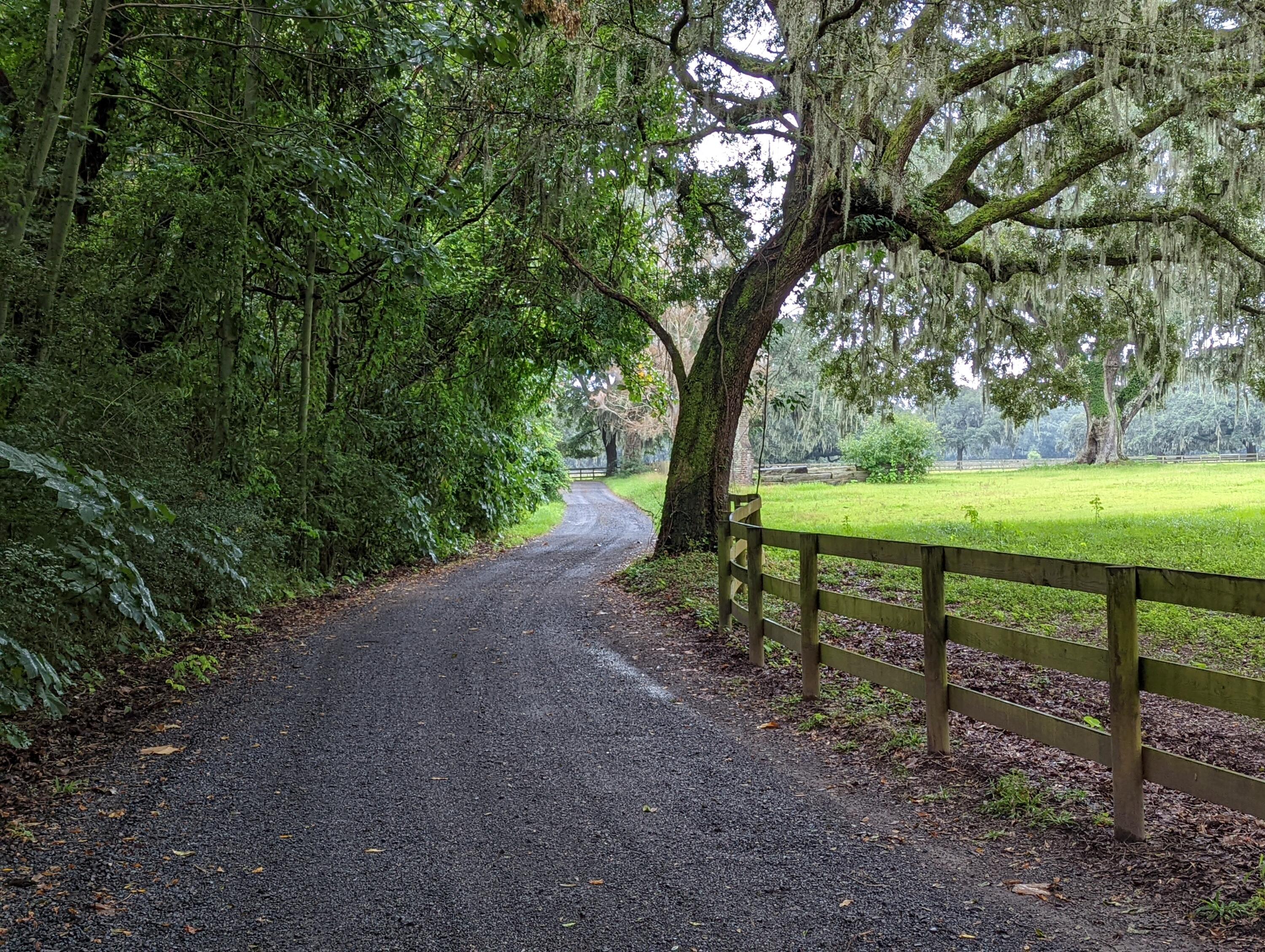 21 Middleton Oaks Road Charleston, SC 29414 - Photo 8 of 18 PXL_20220905_182652017