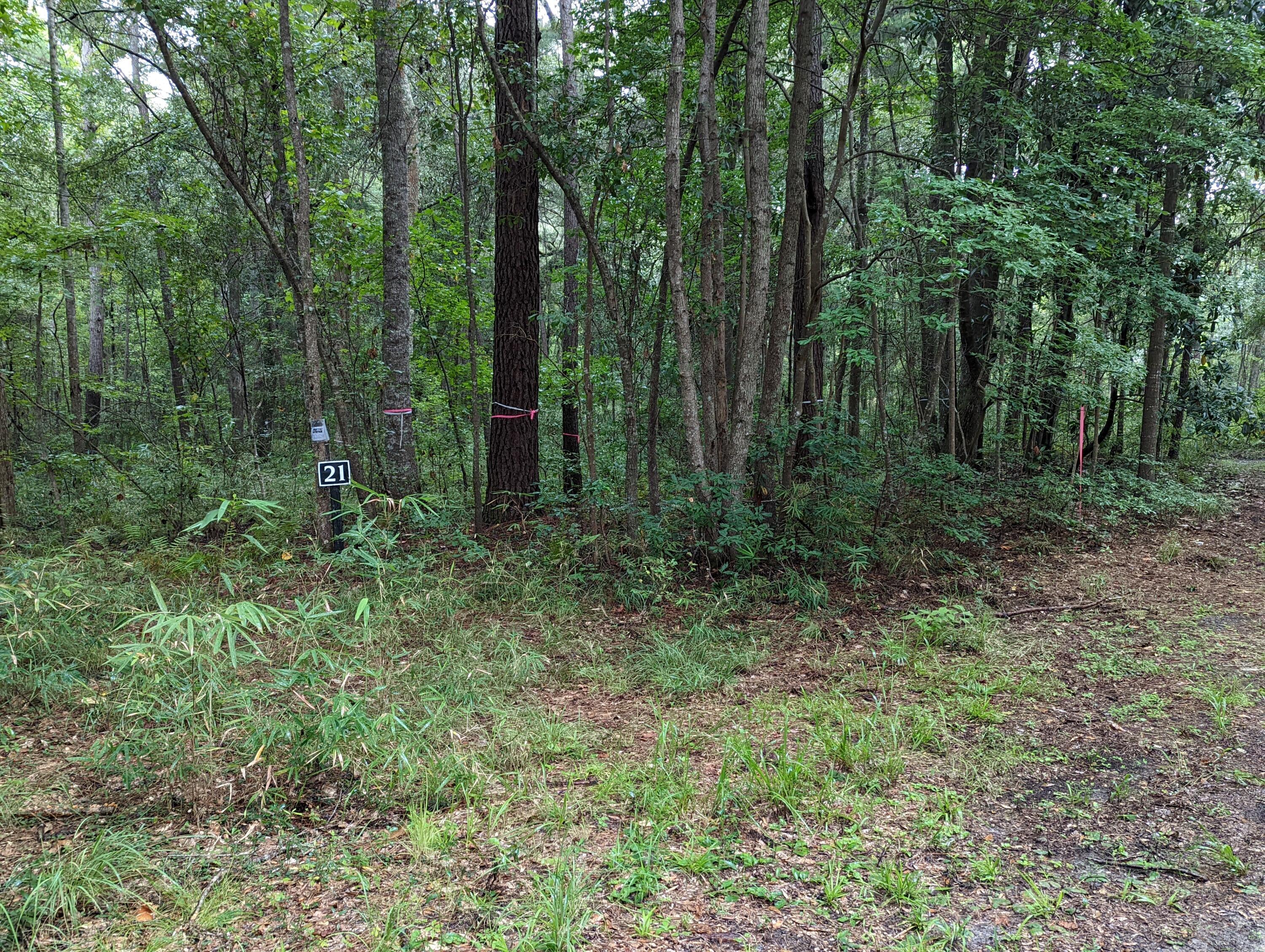 21 Middleton Oaks Road Charleston, SC 29414 - Photo 9 of 18 PXL_20220905_185823064