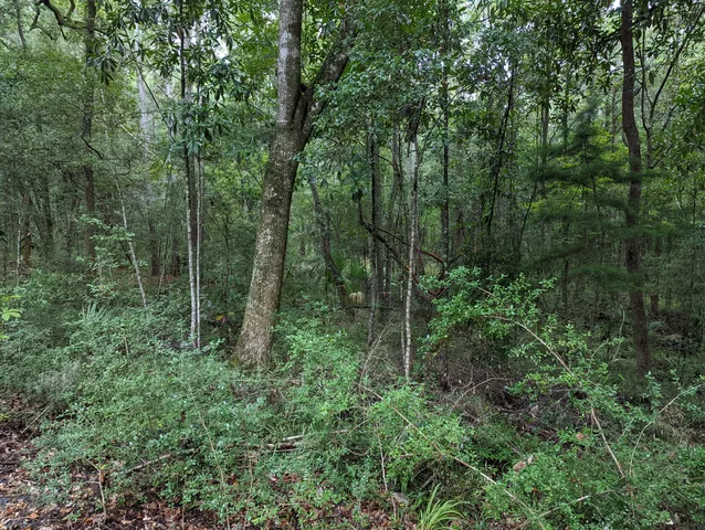 $214,000 | 21 Middleton Oaks Road, Charleston, SC 29414