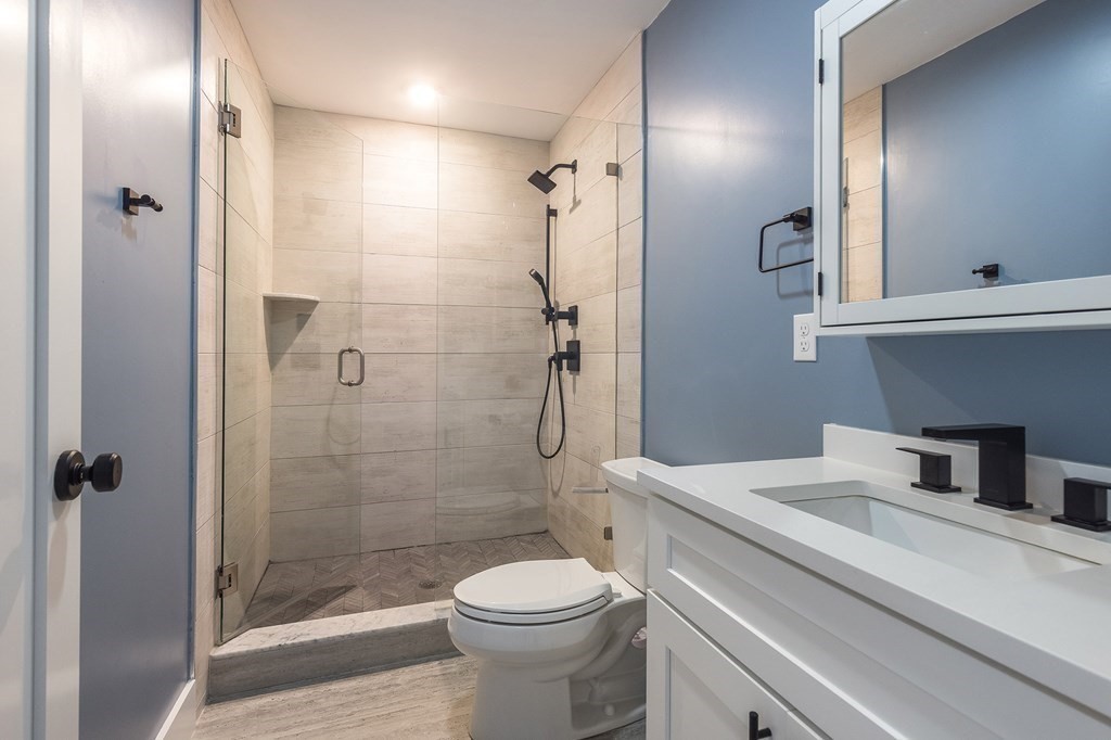 81-83 Alpine Street, Unit 2 Somerville, MA 02144 - Photo 19 of 24 a bathroom with a sink toilet and shower