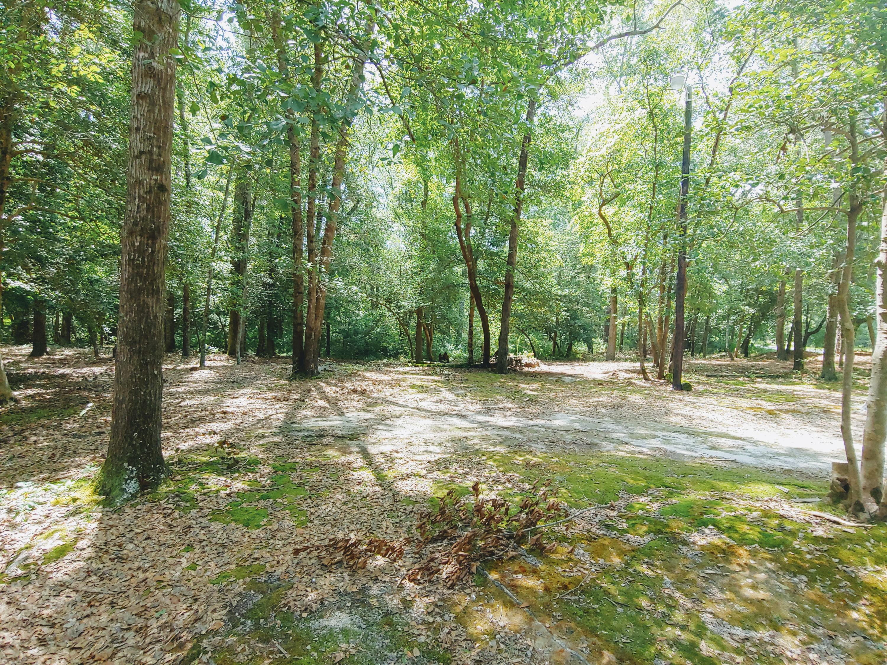 4337 Niagara Carthage Road Carthage, NC 28327 - Photo 21 of 22 0725191205a_HDR