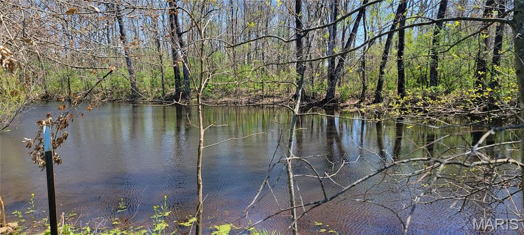 2931 Brune Road Farmington, MO 63640 - Photo 11 of 32