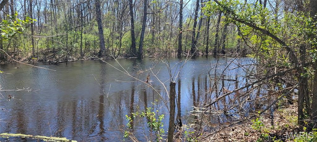 2931 Brune Road Farmington, MO 63640 - Photo 6 of 32