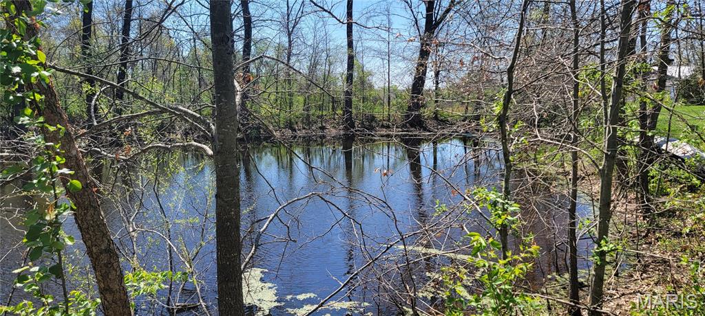 2931 Brune Road Farmington, MO 63640 - Photo 7 of 32