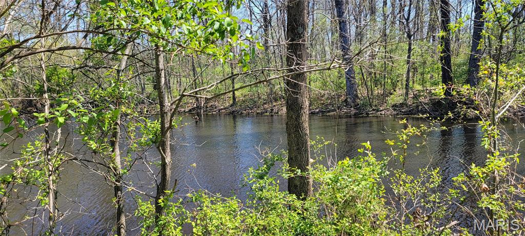 2931 Brune Road Farmington, MO 63640 - Photo 8 of 32