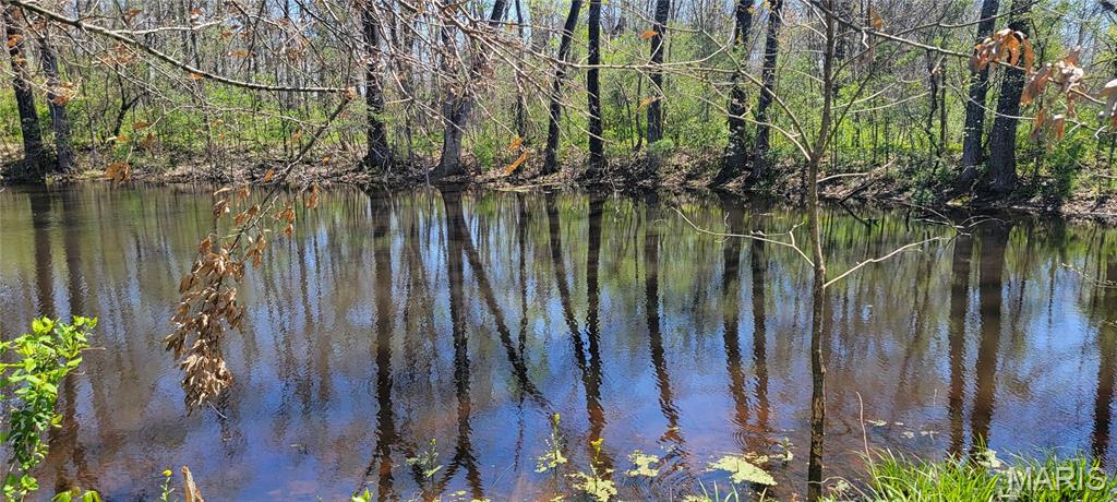 2931 Brune Road Farmington, MO 63640 - Photo 9 of 32