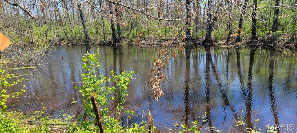 2931 Brune Road Farmington, MO 63640 - Photo 10 of 32