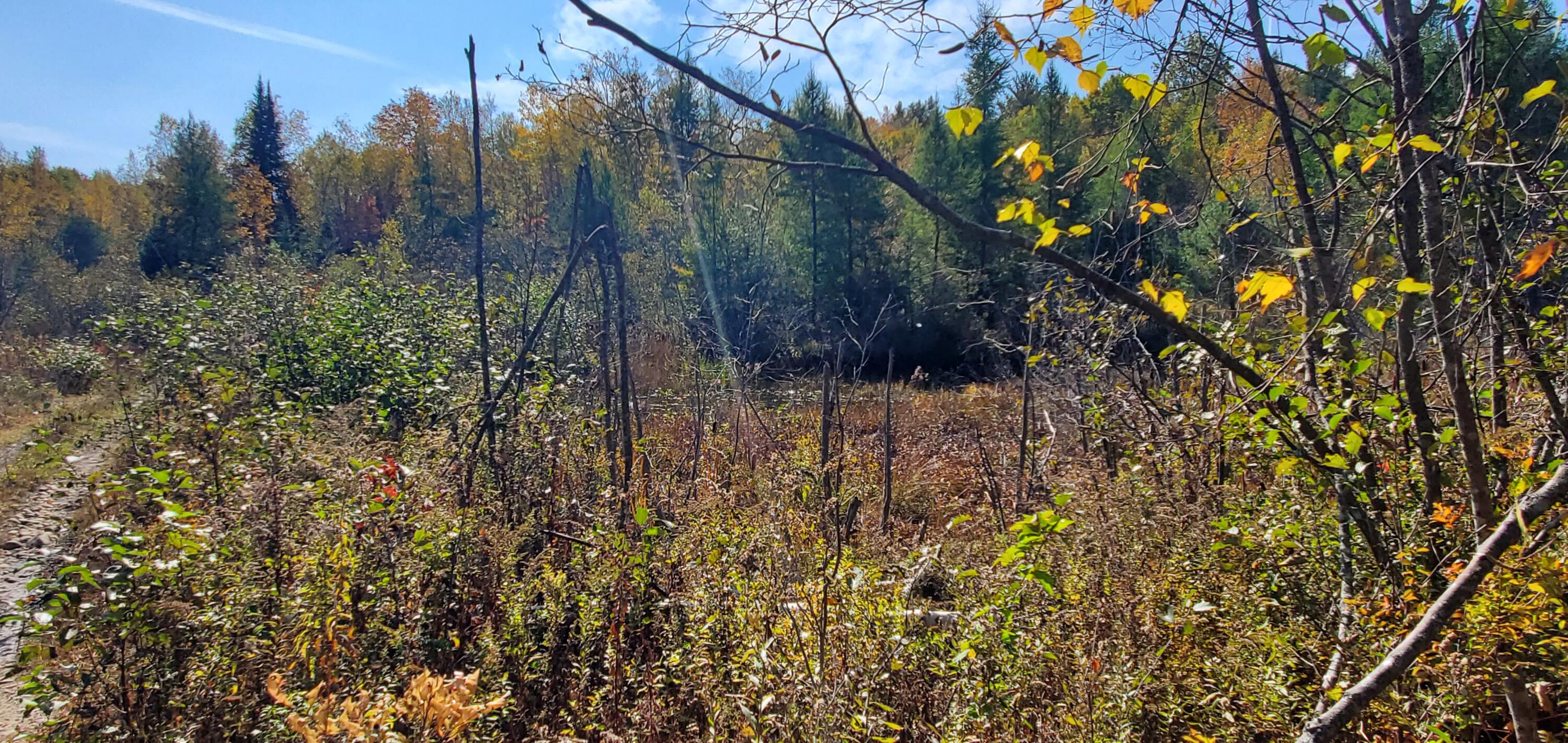 2-051-2 Canaan Road Hartland, ME 04943 - Photo 10 of 11 Pond20221012_121127 (1)