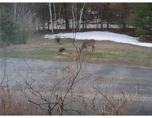 545 Horse Point Road Belgrade, ME 04917 - Photo 8 of 8 Yard/Garden.