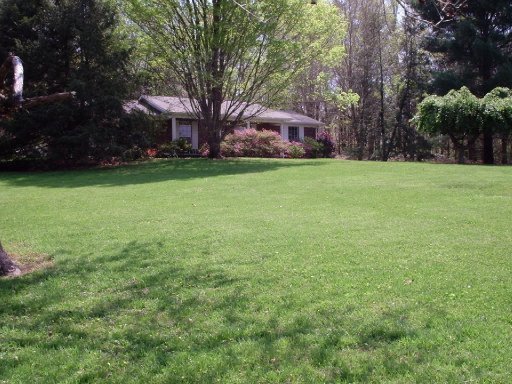 5019 Miser Station Road Friendsville, TN 37737 - Photo 1 of 1 Primary Photo