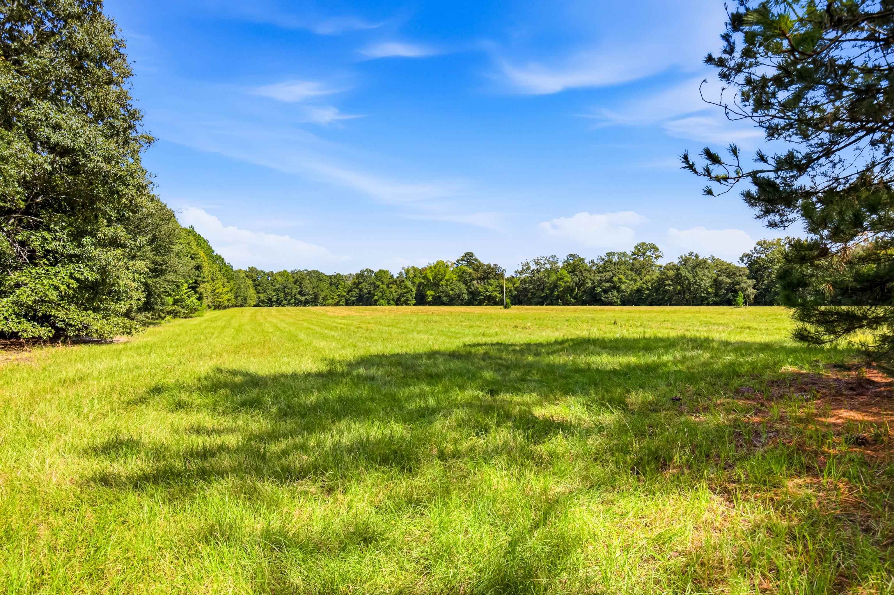1569 Dave Plowden Pond Road Manning, SC 29102 - Photo 89 of 92 Gallery Image 89