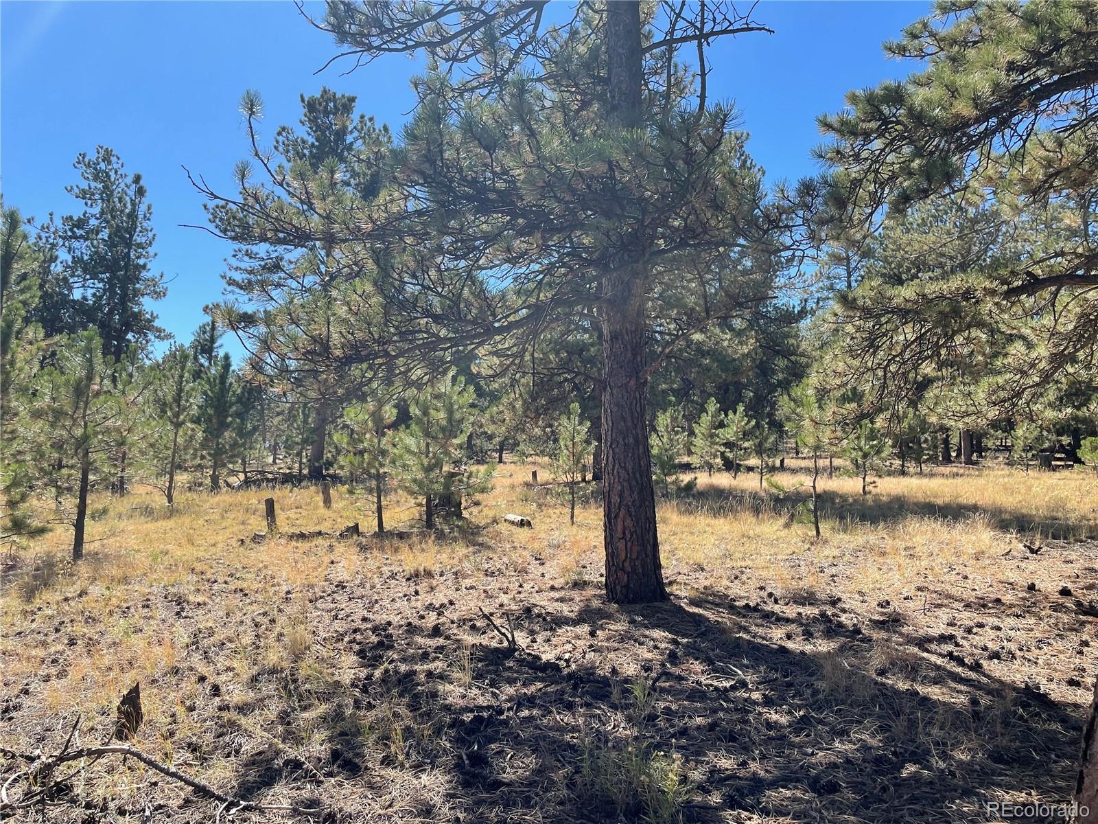 118 Haystack Road Hartsel, CO 80449 - Photo 1 of 12 Gallery Image 1