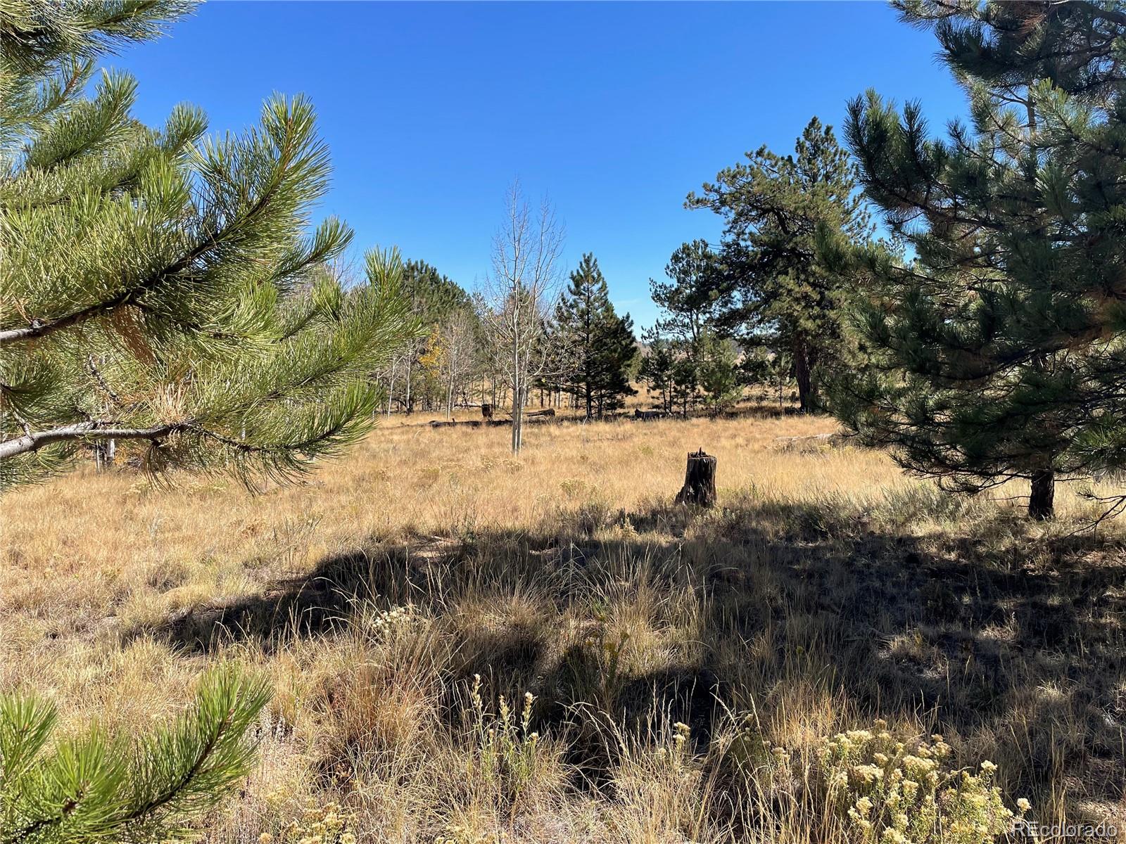 118 Haystack Road Hartsel, CO 80449 - Photo 2 of 12 Gallery Image 2