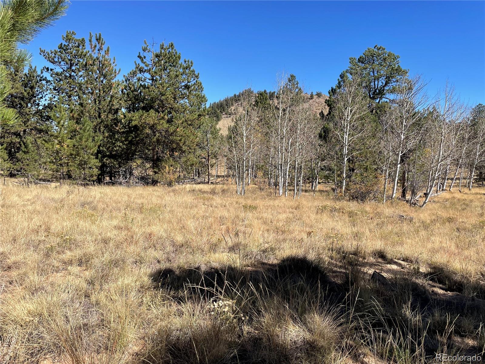 118 Haystack Road Hartsel, CO 80449 - Photo 3 of 12 Gallery Image 3