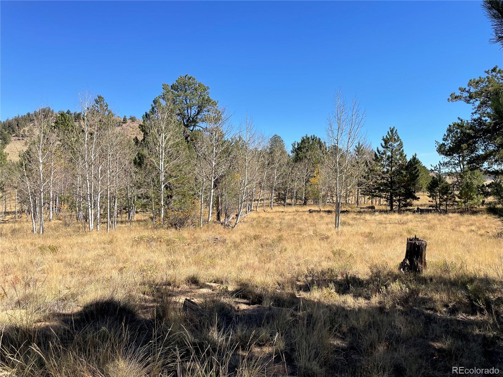 118 Haystack Road Hartsel, CO 80449 - Photo 5 of 12 Gallery Image 5