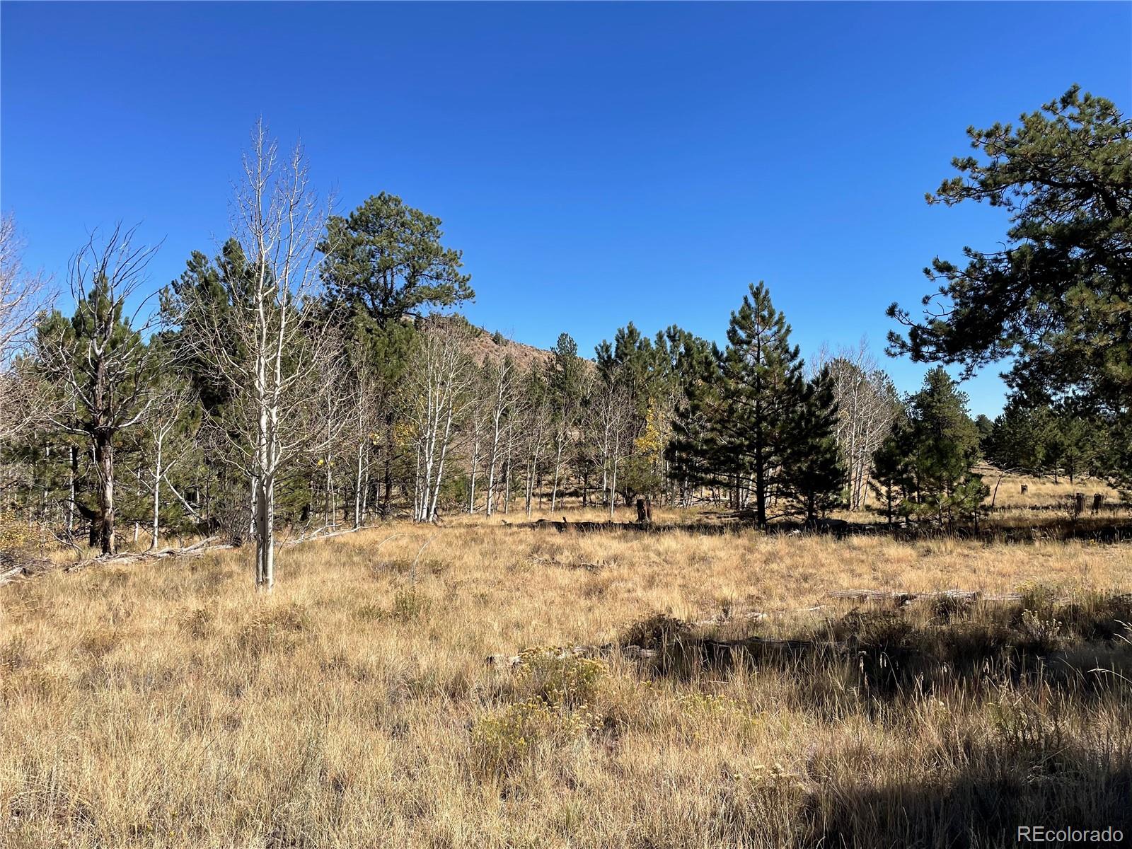118 Haystack Road Hartsel, CO 80449 - Photo 6 of 12 Gallery Image 6