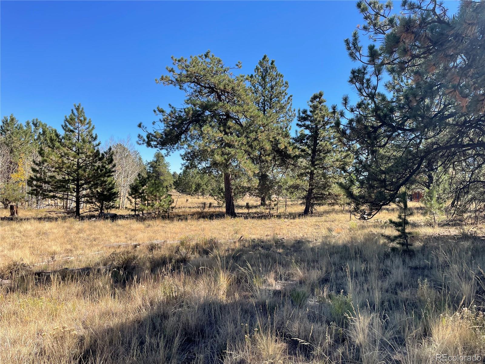 118 Haystack Road Hartsel, CO 80449 - Photo 7 of 12 Gallery Image 7