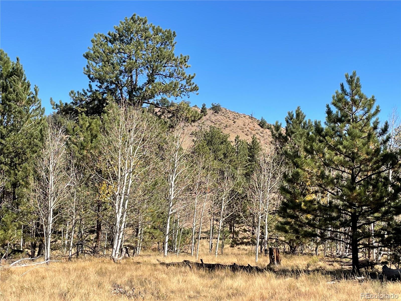 118 Haystack Road Hartsel, CO 80449 - Photo 8 of 12 Gallery Image 8