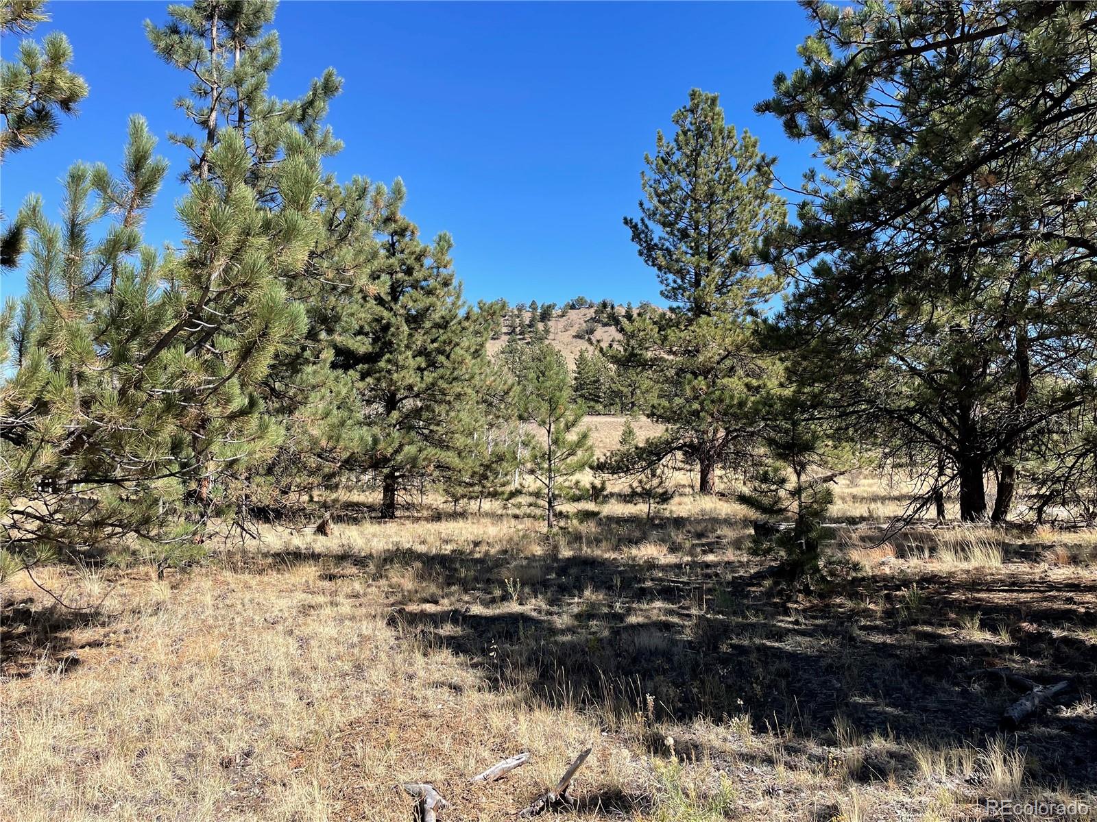 118 Haystack Road Hartsel, CO 80449 - Photo 9 of 12 Gallery Image 9