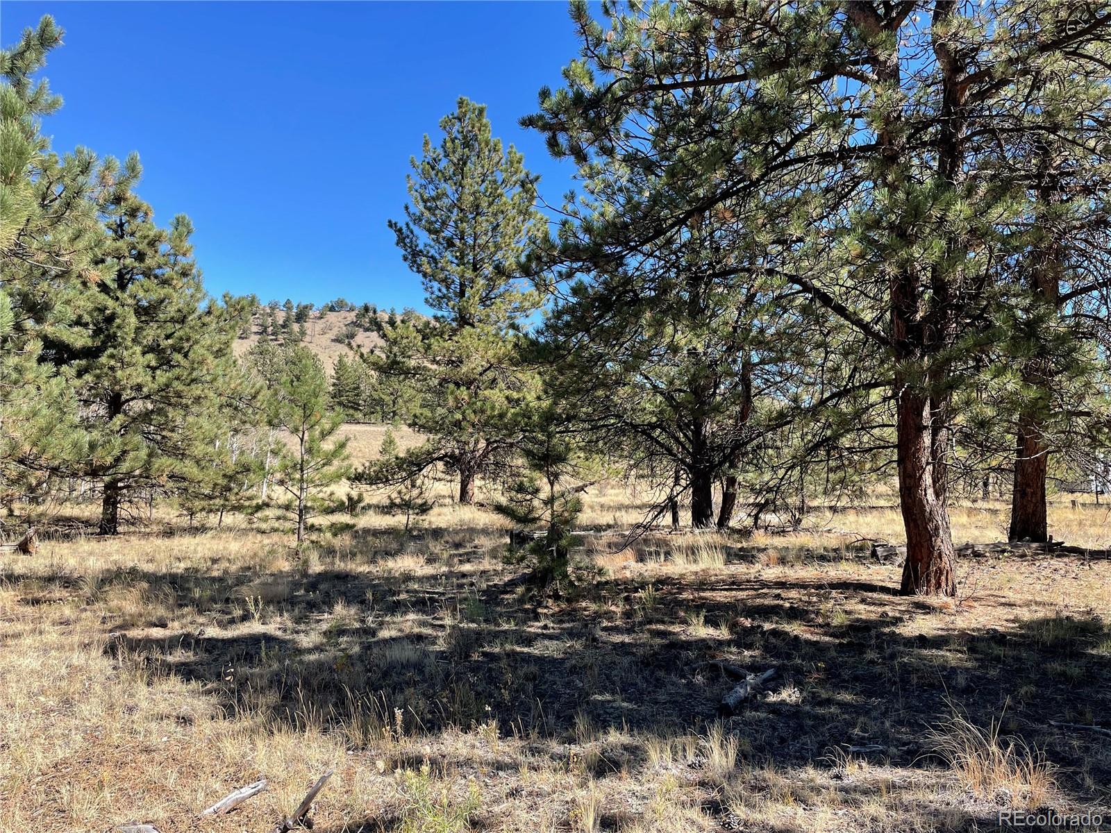 118 Haystack Road Hartsel, CO 80449 - Photo 10 of 12 Gallery Image 10