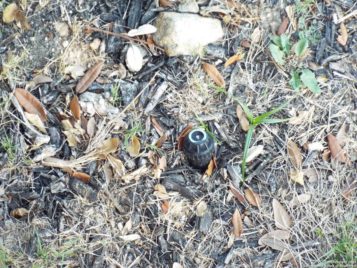 6722 Shiraz Way Converse, TX 78109 - Photo 3 of 30