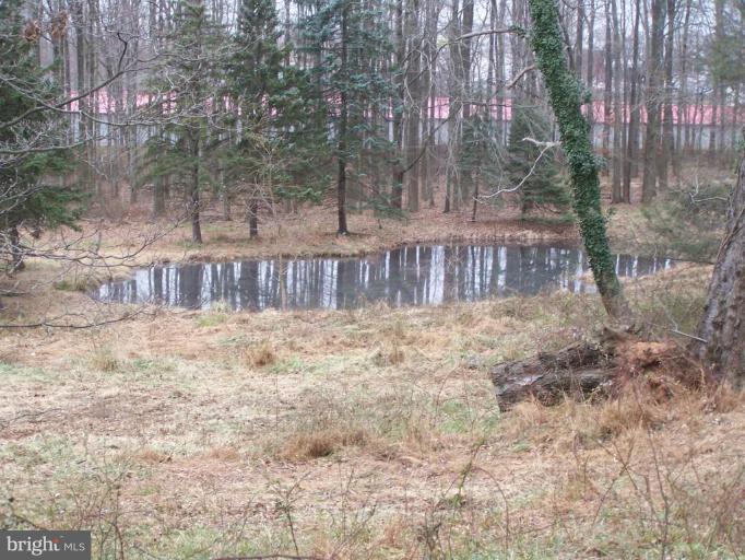 314 Whitaker Mill Road Fallston, MD 21047 - Photo 2 of 2 a view of backyard with large trees