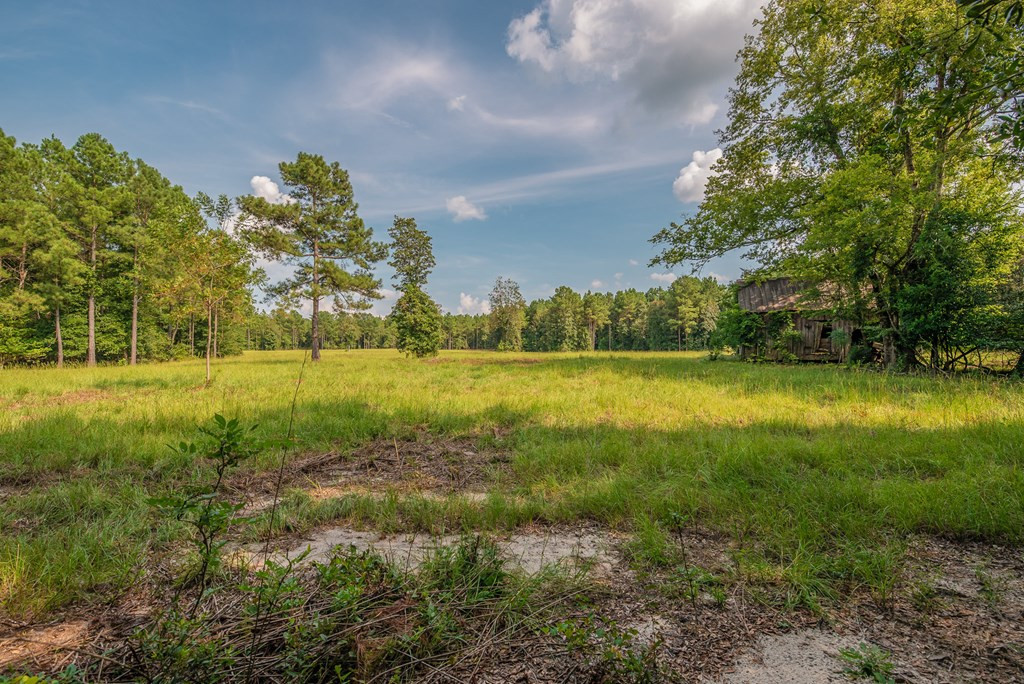 241 Voyager Road Salley, SC 29137 - Photo 23 of 31