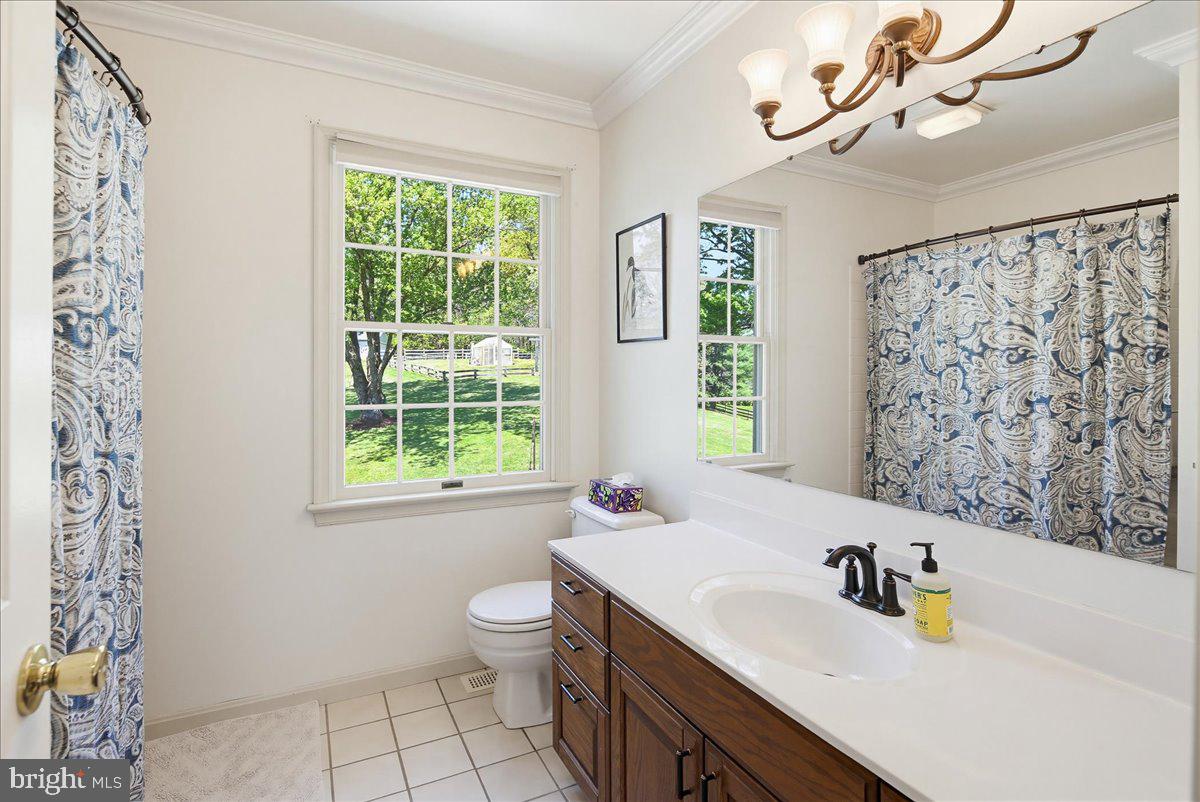 20128 Gunpowder Road Manchester, MD 21102 - Photo 22 of 66 a bathroom with a sink a toilet and a window