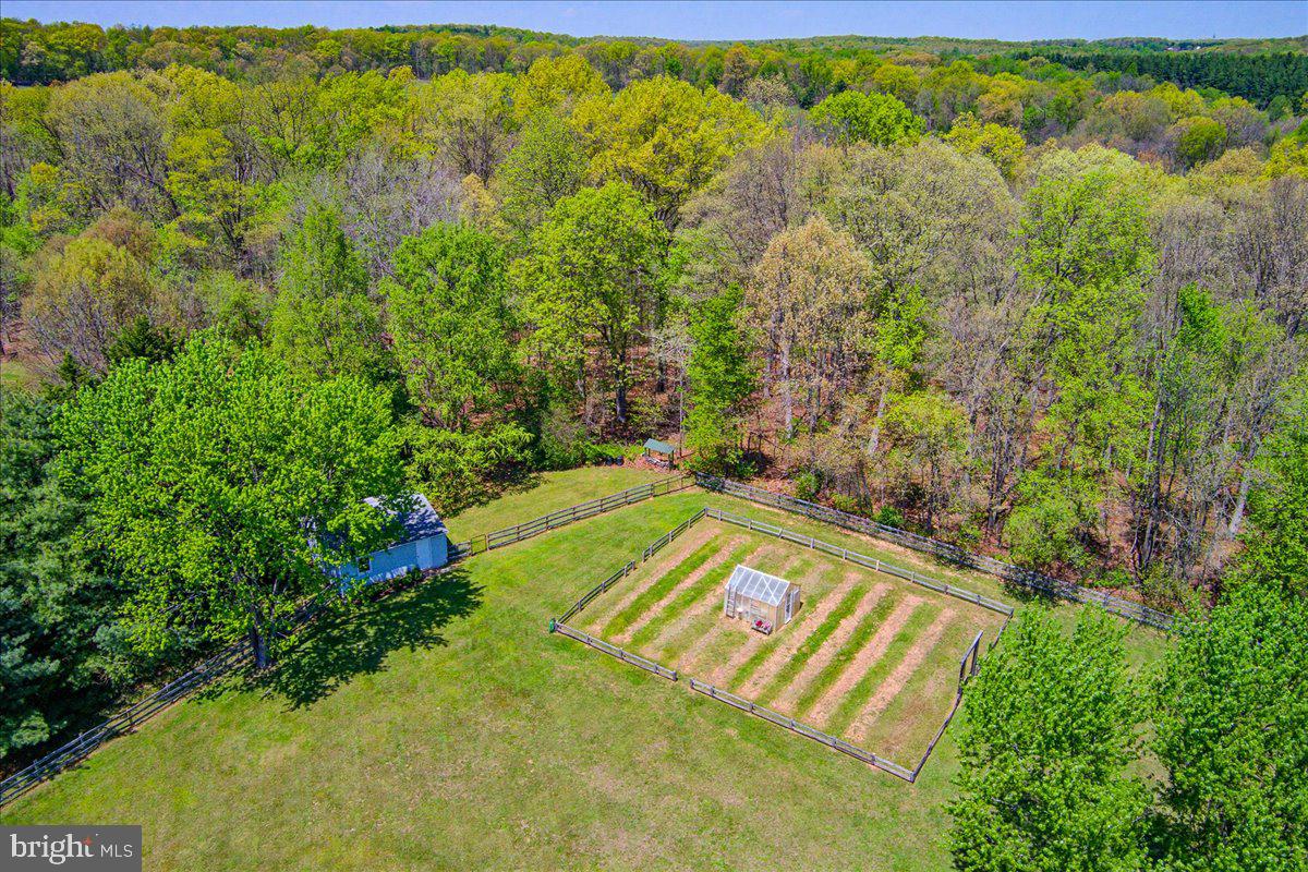 20128 Gunpowder Road Manchester, MD 21102 - Photo 4 of 66 a view of a yard with an outdoor space