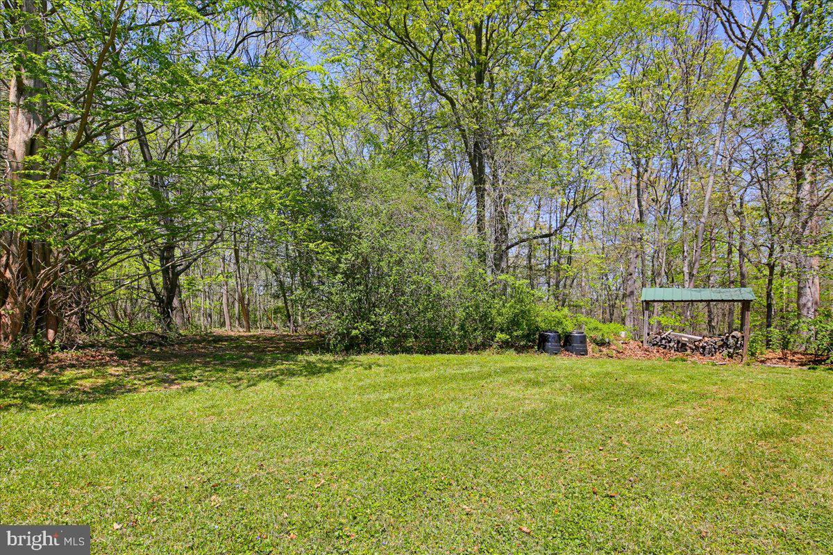 20128 Gunpowder Road Manchester, MD 21102 - Photo 46 of 66 a view of a park with large trees