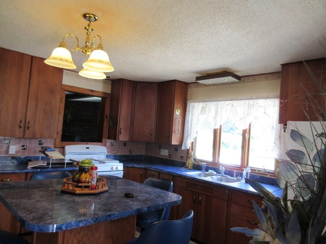 2118 Grand Detour Road Dixon, IL 61021 - Photo 12 of 16 a kitchen with a stove a sink and a microwave