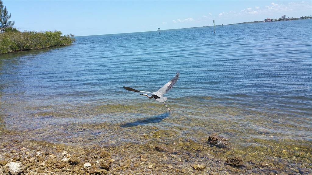 6035 Sea Ranch Drive, Unit 901 Hudson, FL 34667 - Photo 40 of 72 a view of a ocean view