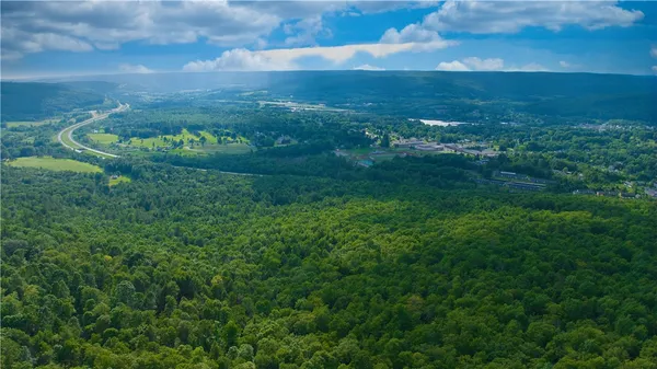 $169,900 | 0 Pine Hill Road, Unadilla, NY 13849