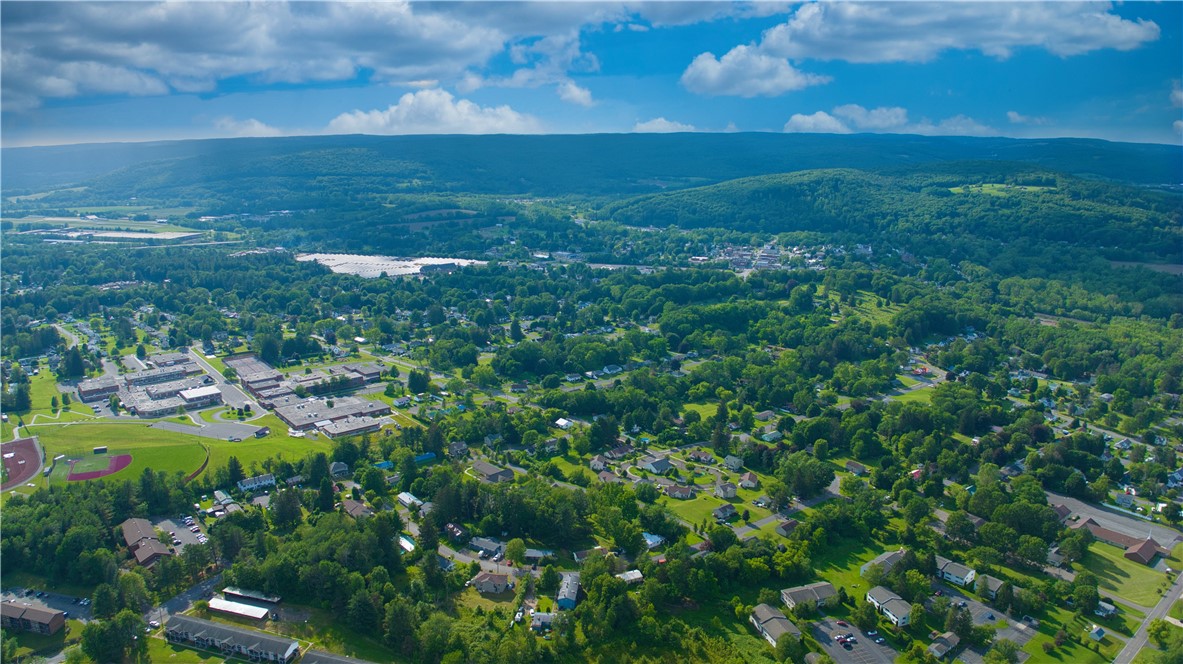 0 Pine Hill Road Unadilla, NY 13849 - Photo 11 of 22