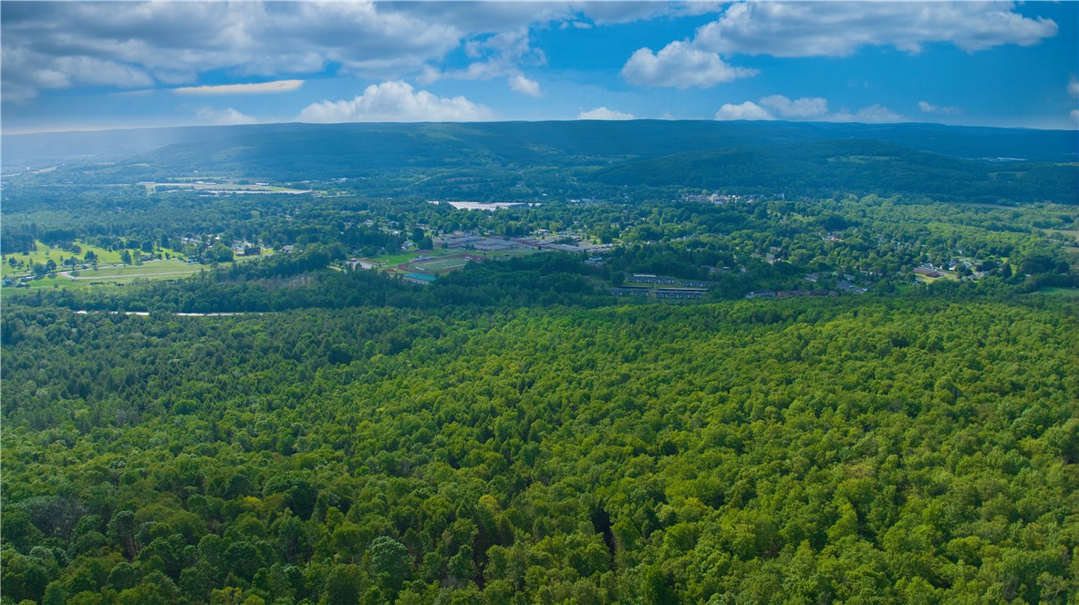 0 Pine Hill Road Unadilla, NY 13849 - Photo 12 of 22