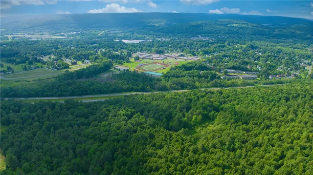 $169,900 | 0 Pine Hill Road, Unadilla, NY 13849