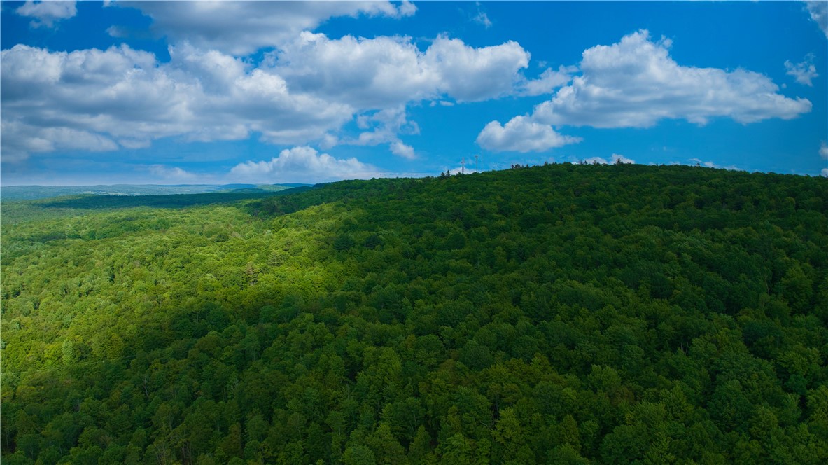 0 Pine Hill Road Unadilla, NY 13849 - Photo 14 of 22