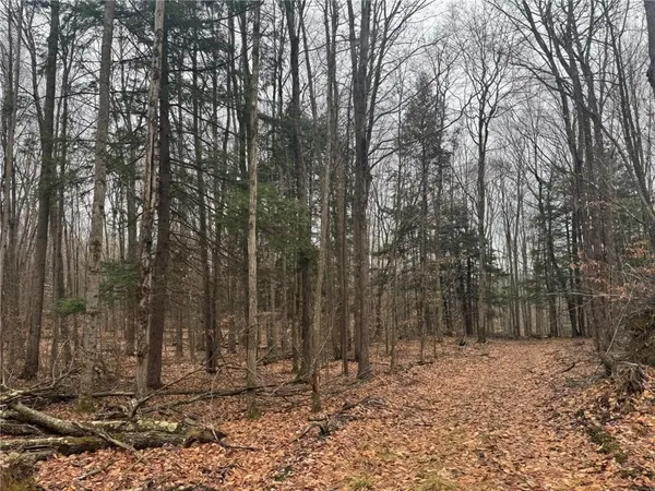 $169,900 | 0 Pine Hill Road, Unadilla, NY 13849