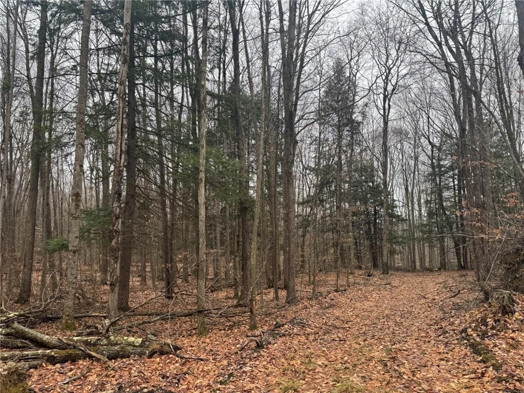 0 Pine Hill Road Unadilla, NY 13849 - Photo 15 of 22