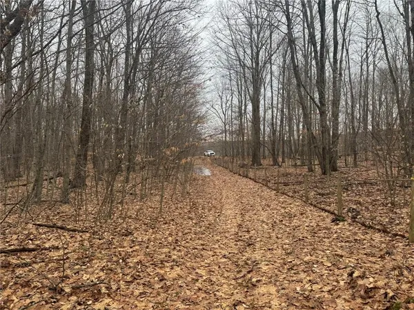 $169,900 | 0 Pine Hill Road, Unadilla, NY 13849