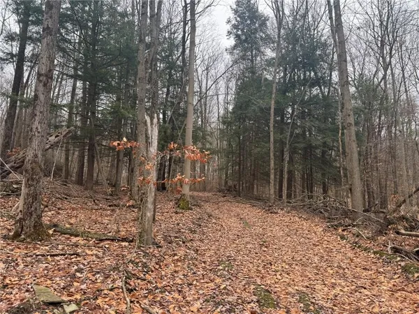 $169,900 | 0 Pine Hill Road, Unadilla, NY 13849