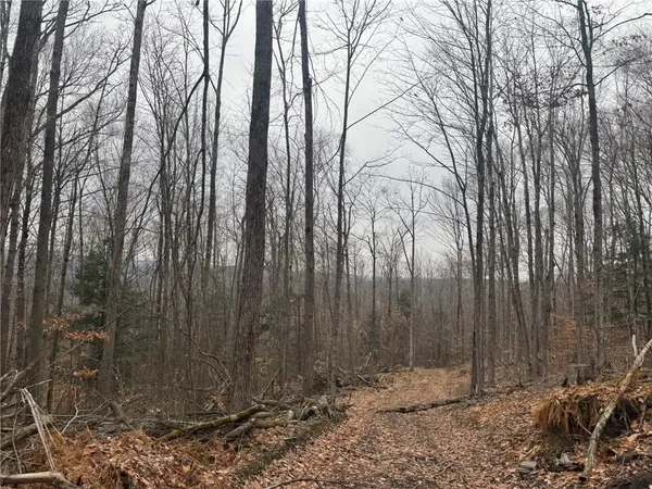 $169,900 | 0 Pine Hill Road, Unadilla, NY 13849