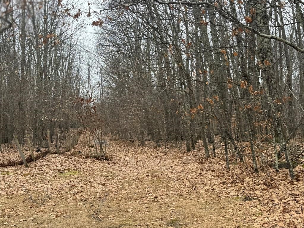 0 Pine Hill Road Unadilla, NY 13849 - Photo 19 of 22