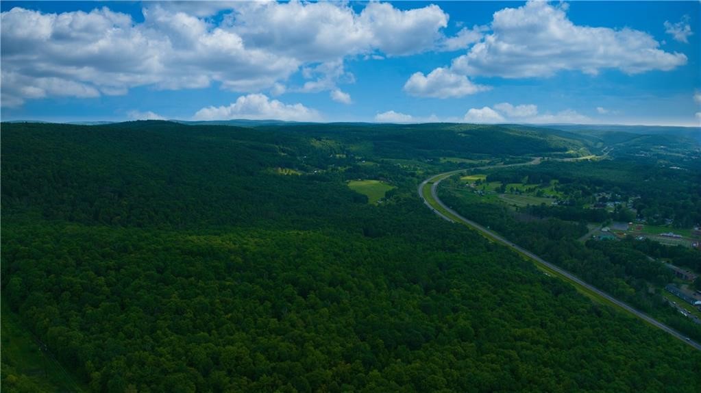 0 Pine Hill Road Unadilla, NY 13849 - Photo 20 of 22