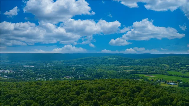 $169,900 | 0 Pine Hill Road, Unadilla, NY 13849