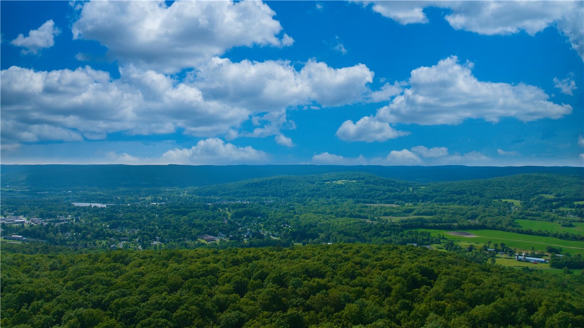 0 Pine Hill Road Unadilla, NY 13849 - Photo 2 of 22