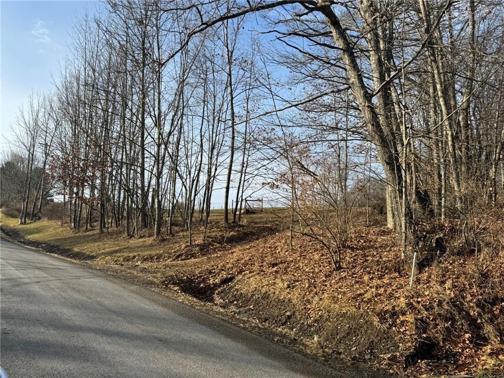 0 Pine Hill Road Unadilla, NY 13849 - Photo 21 of 22