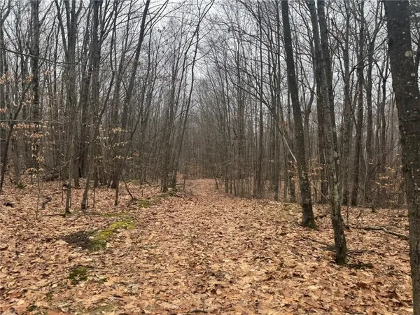 $169,900 | 0 Pine Hill Road, Unadilla, NY 13849