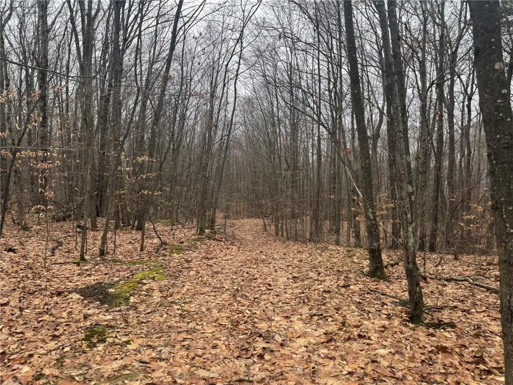 0 Pine Hill Road Unadilla, NY 13849 - Photo 22 of 22